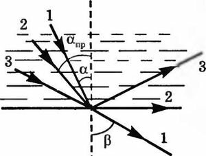 Aksen-16.25.jpg