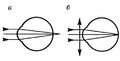 Aksen-16.54.jpg